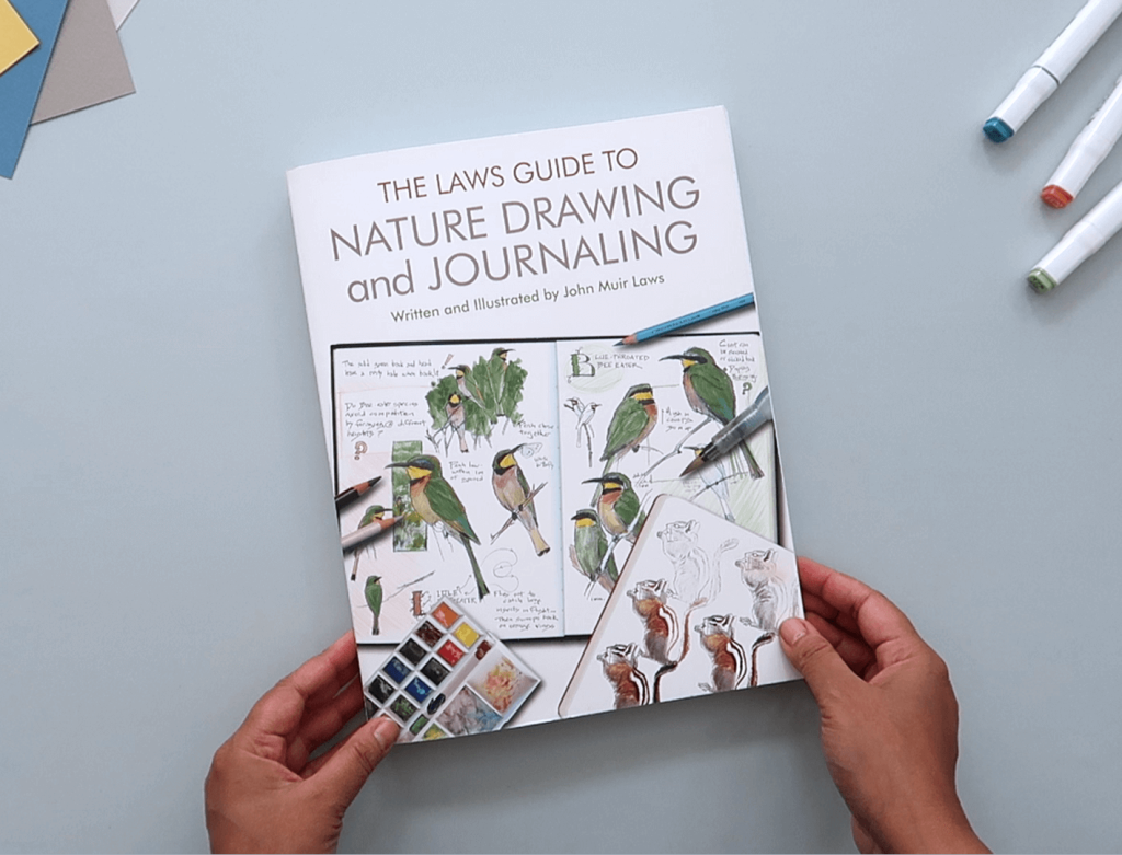 My FAVOURITE BOOK on DRAWING ever! The Laws Guide to Nature Drawing & Journaling – Art Book Review